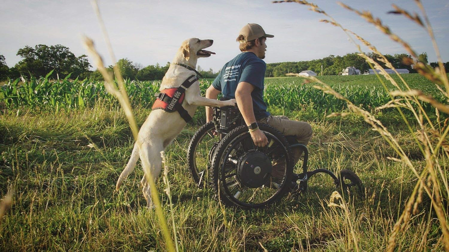 Service Dog Vest with Hook and Loop Straps and Handle - Harness Is Available in 8 Sizes from XXXS to XXL - Service Dog Harness Features Reflective Patch and Comfortable Mesh Design