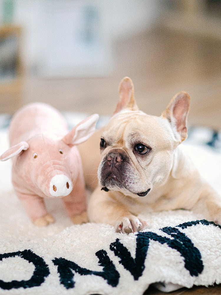 Sleeping Companion Plush for Dogs