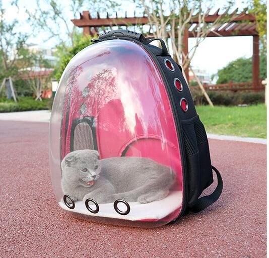 Transparent Pet Backpack – Ventilated Travel Carrier for Cats and Dogs