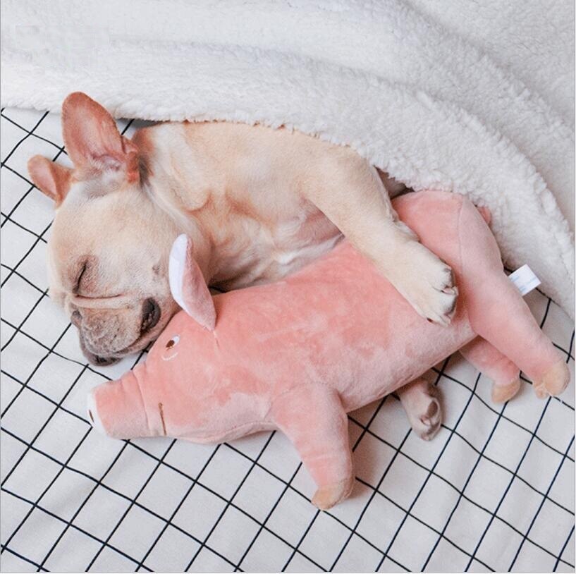 Sleeping Companion Plush for Dogs