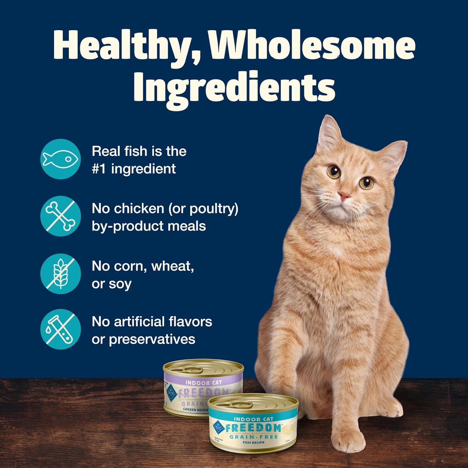 Freedom Grain Free Natural Adult Pate Wet Cat Food, Indoor Fish 5.5-Oz Cans (Pack of 24)