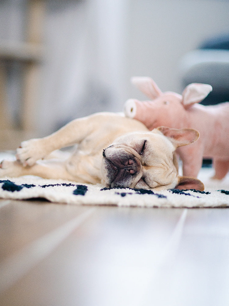 Sleeping Companion Plush for Dogs