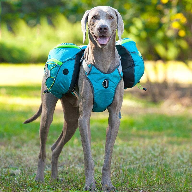 Compact Pet Self Backpack – Lightweight Carrier for Easy Travel