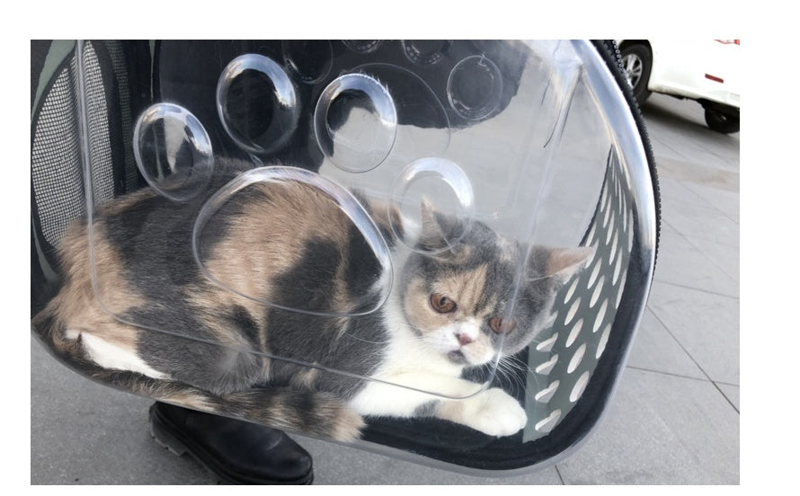 Foldable Transparent Backpack for Cats and Dogs