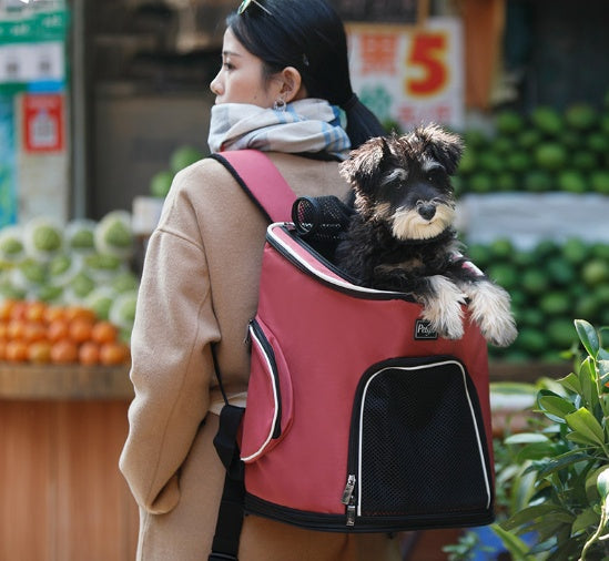 Compact and Spacious Dog Backpack – Travel Companion for Pets