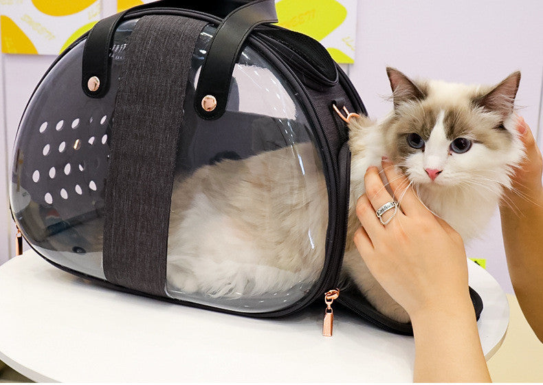 Double Fish Transparent Pet Bag – Stylish and Functional for Cats and Dogs