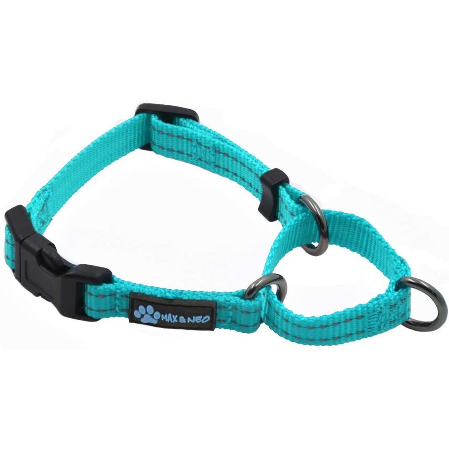 Nylon Martingale Collar - We Donate a Collar to a Dog Rescue for Every Collar Sold (X-Small, Teal)