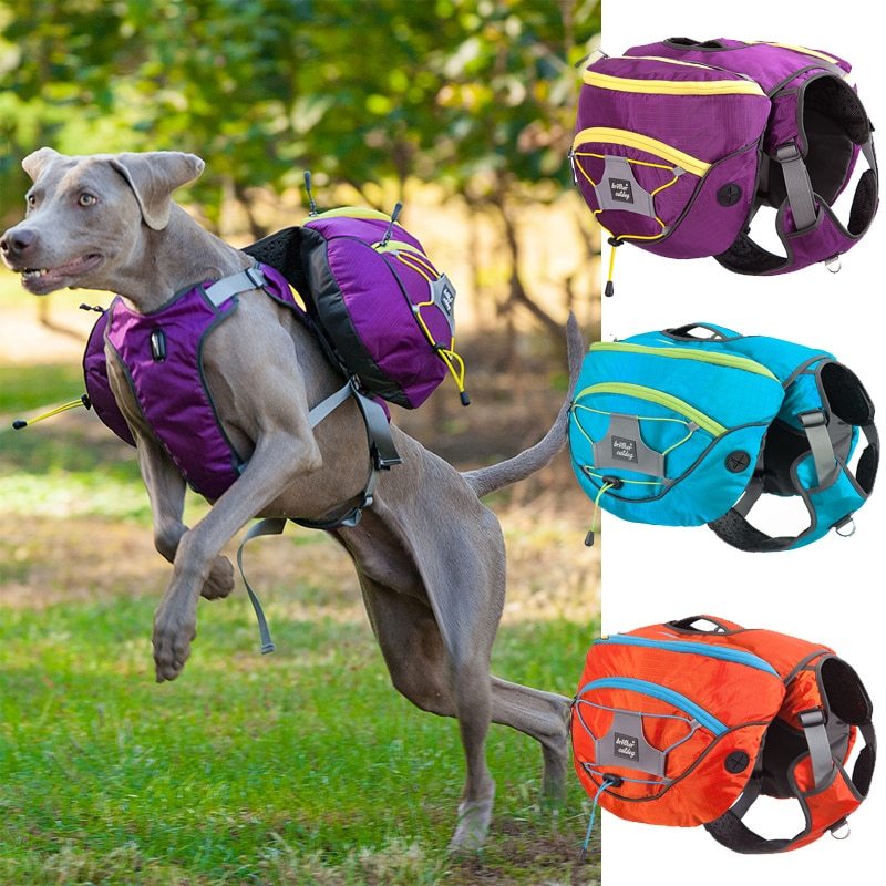 Compact Pet Self Backpack – Lightweight Carrier for Easy Travel