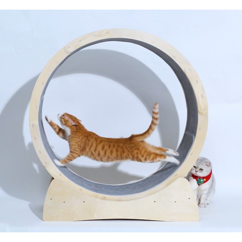 Special Toys For Cat Treadmill Roller