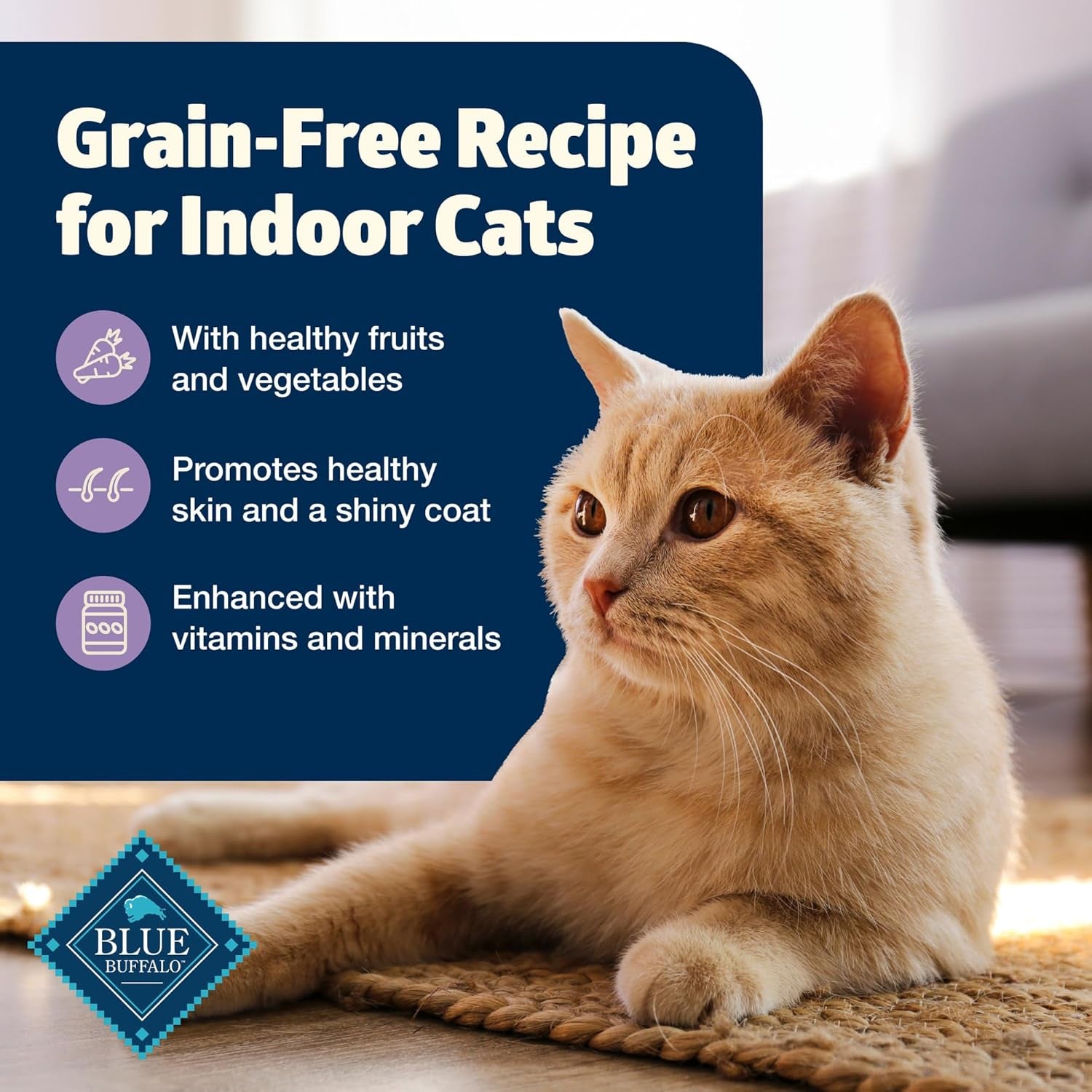 Freedom Grain-Free Adult Wet Cat Food, Complete & Balanced Nutrition for Indoor Cats, Made with Natural Ingredients, Chicken Recipe, 5.5-Oz. Cans (24 Count)