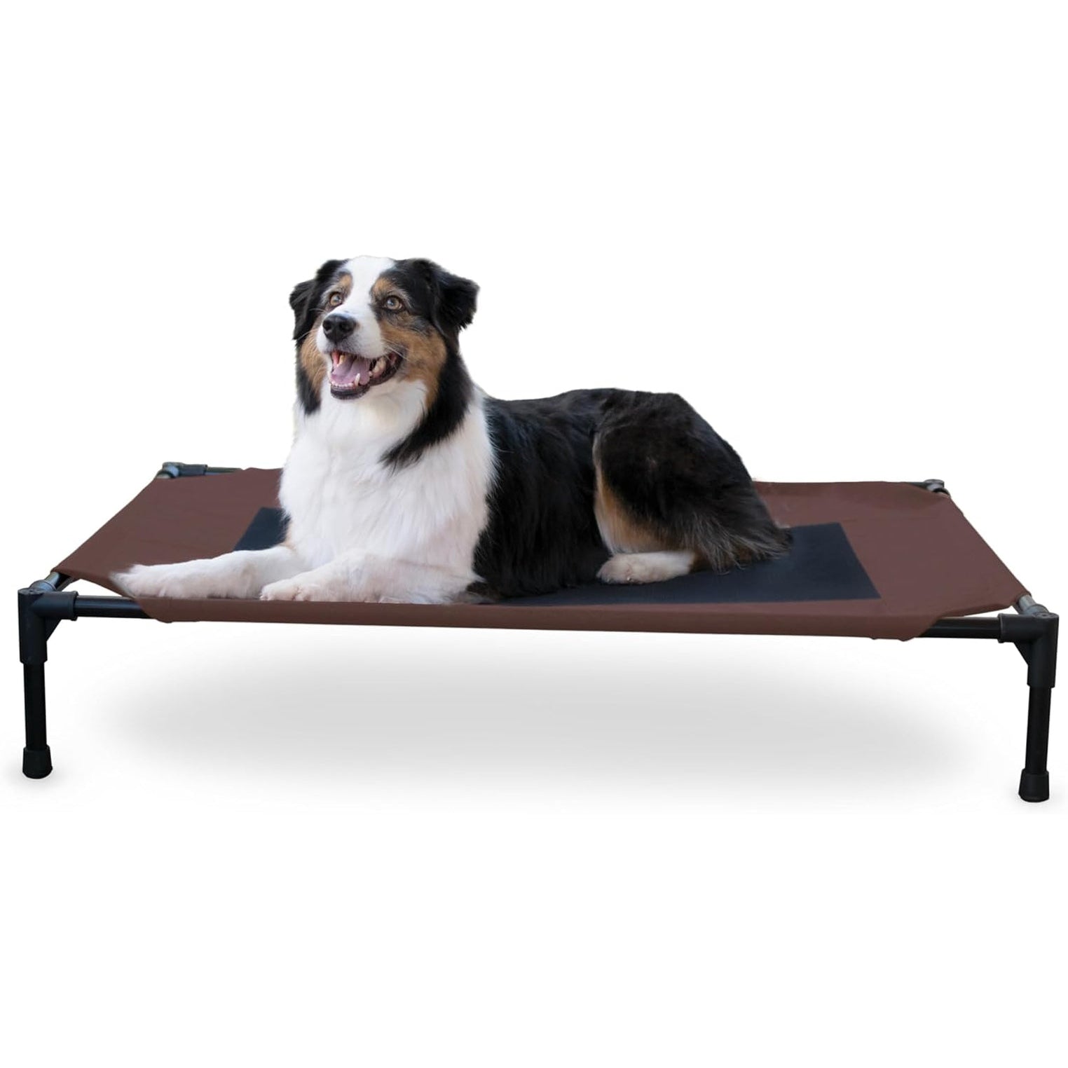 Dog Cots Beds for Large Dog- Elevated Outdoor Dog Cot Bed- Raised Dog Hammock Cooling Bed- Washable, Portable Dog Cot- Heavy Duty Durable Metal Frame, Large, Chocolate/Black Mesh