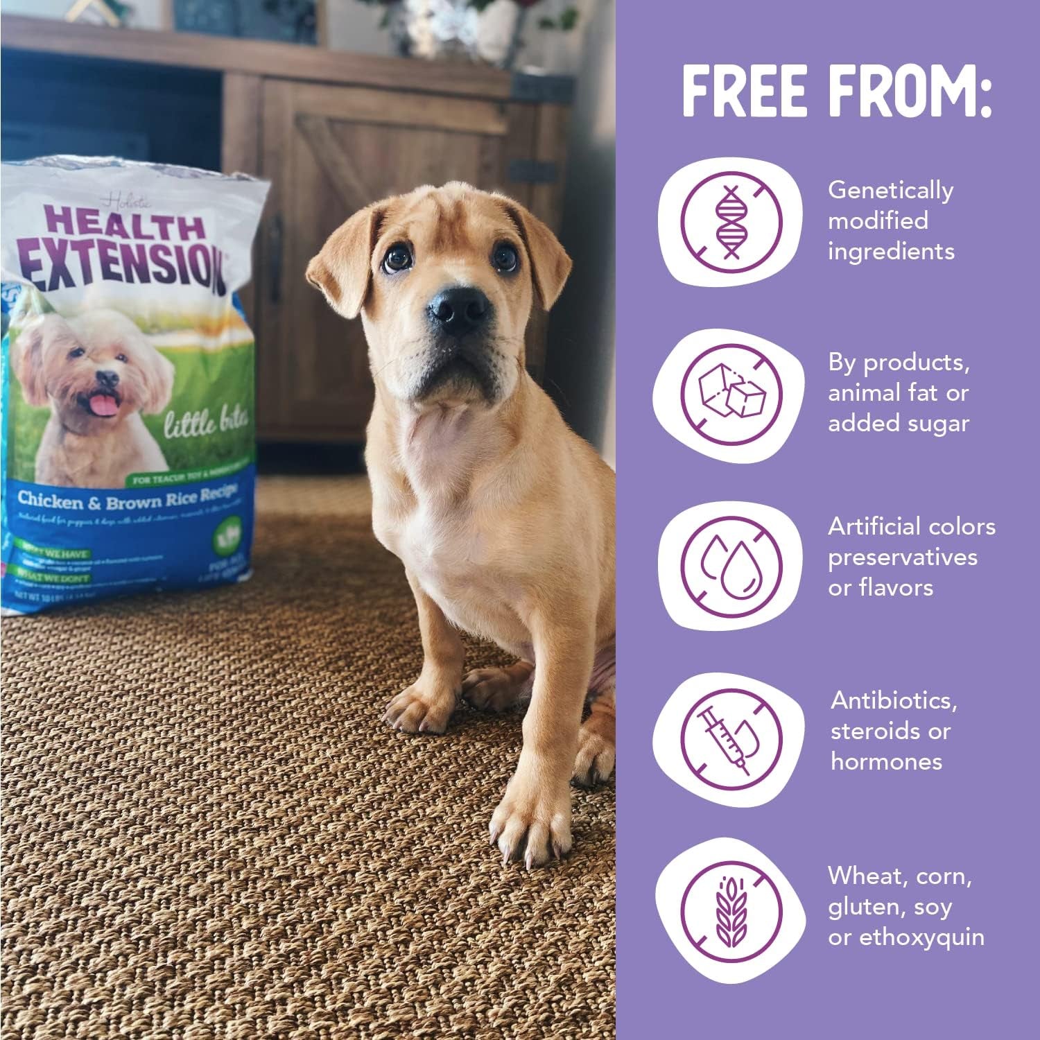 Little Bites Chicken & Brown Rice Dry Dog Food (10 Lb / 4.5 Kg) - Natural with Probiotics and Superfoods for Teacup, Toy & Small Breeds