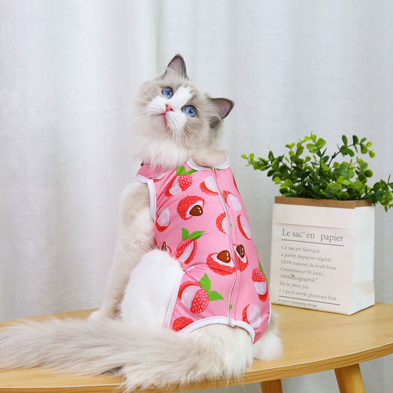 Surgery Recovery Clothing for Cats – Spay and Neuter Supplies