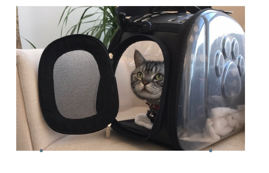 Foldable Transparent Backpack for Cats and Dogs