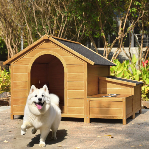 Large Outdoor Cat Enclosure with Roof, Perch, and Sleeping Box