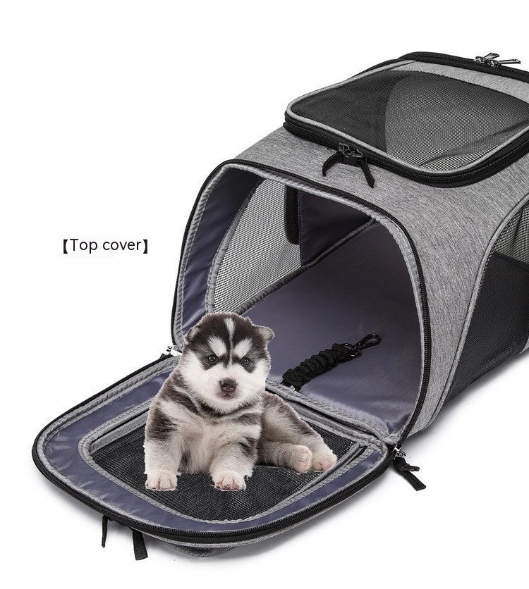 Foldable Large-Capacity Pet Backpack for Travel