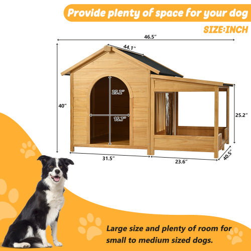 Solid Wood Cat Play Enclosure with Large Living Space