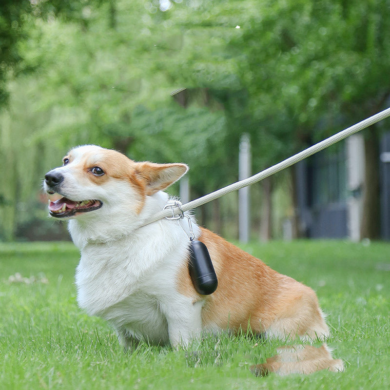 Degradable Pet Waste Bag Dispenser – Easy to Use