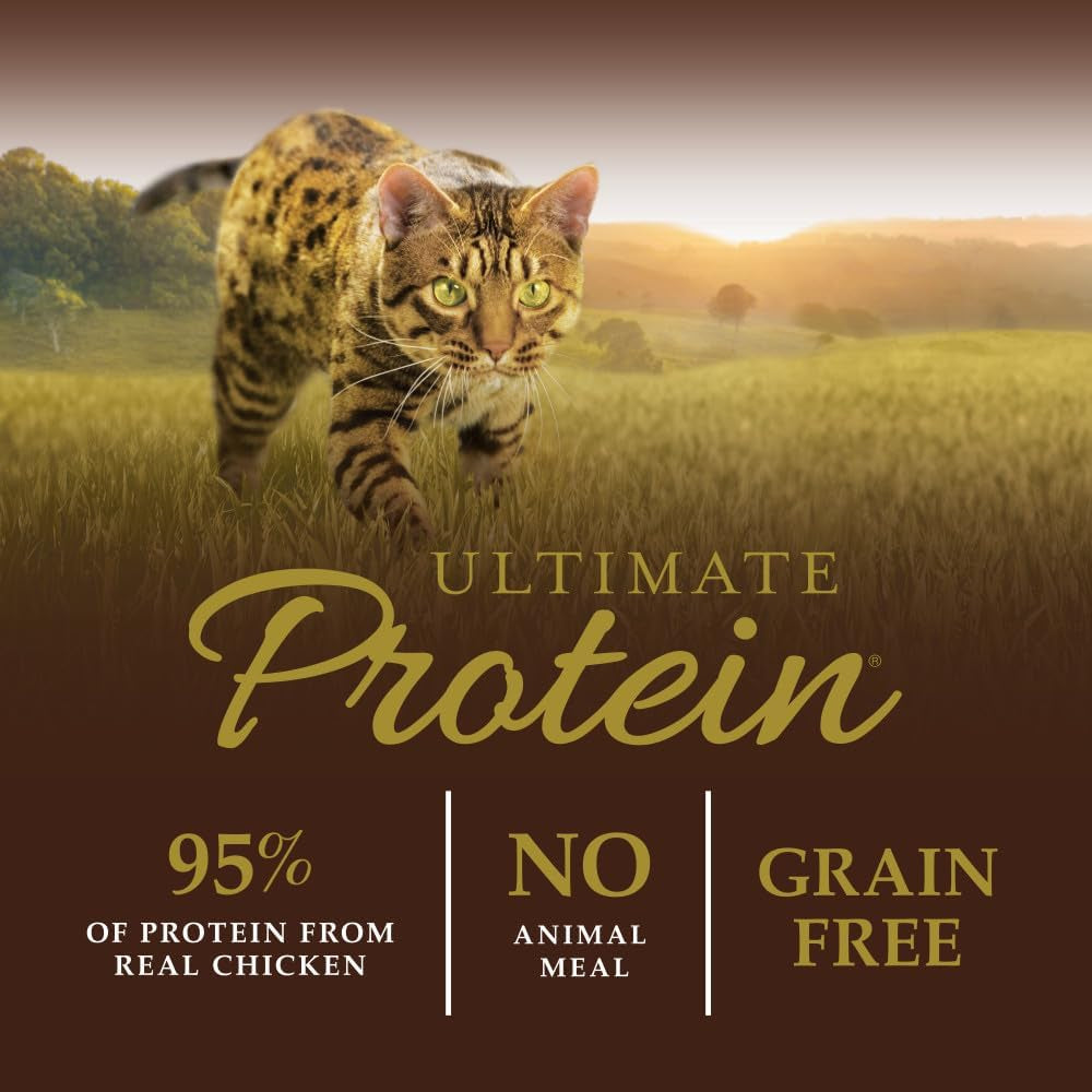 Ultimate Protein Grain Free Cage Free Chicken Recipe Natural Dry Cat Food, 10 Lb. Bag