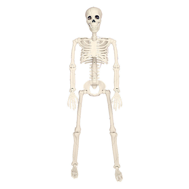 90cm Warm Light Hanging Luminous Skeleton – Stand-able Halloween Decoration for Spooky Décor