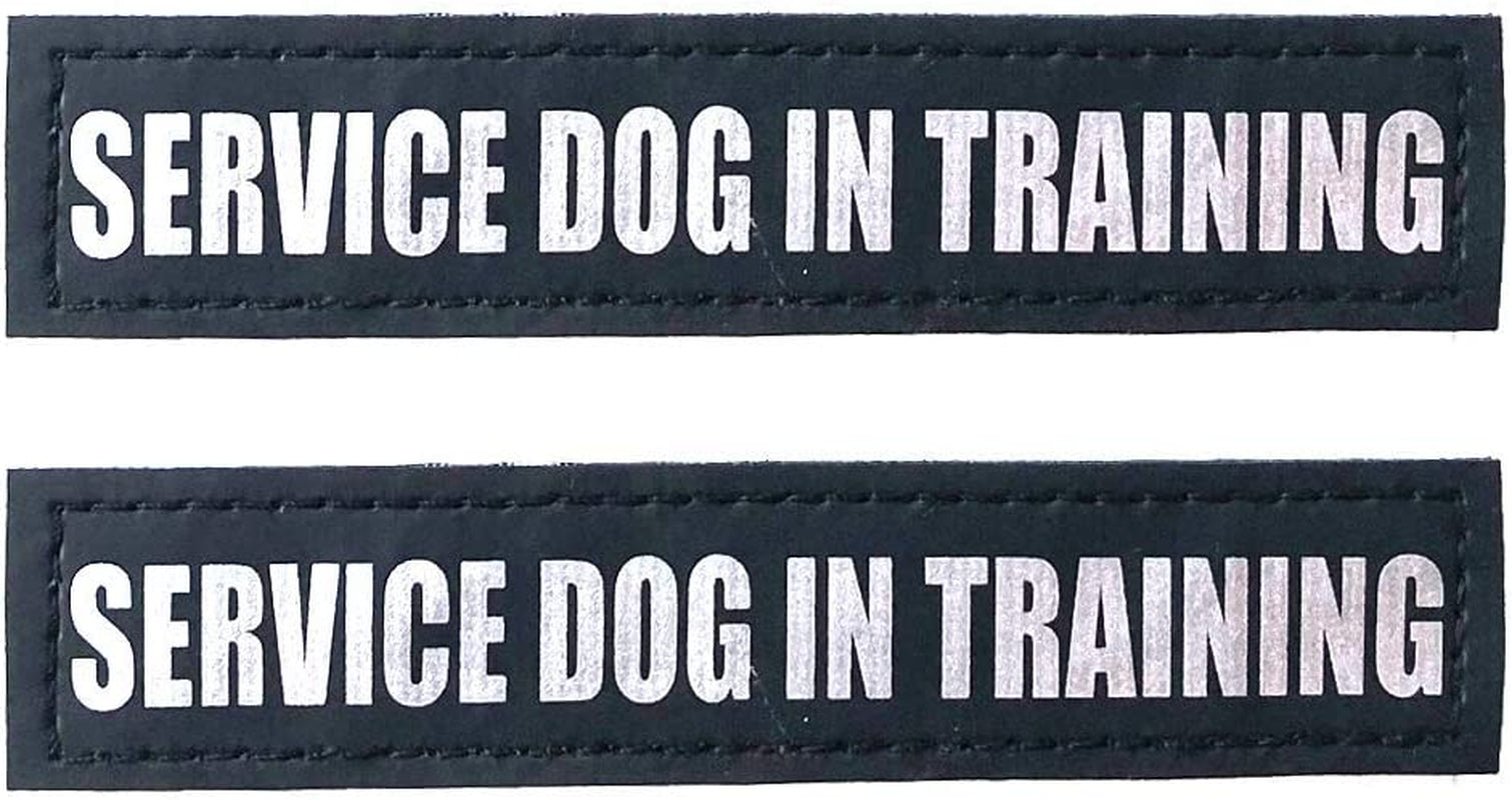 Reflective Service Dog in Training Patches with Hook and Loop Backing for Service Animal Vests /Harnesses XXS or Extra Small (3.5 X 1) Inch