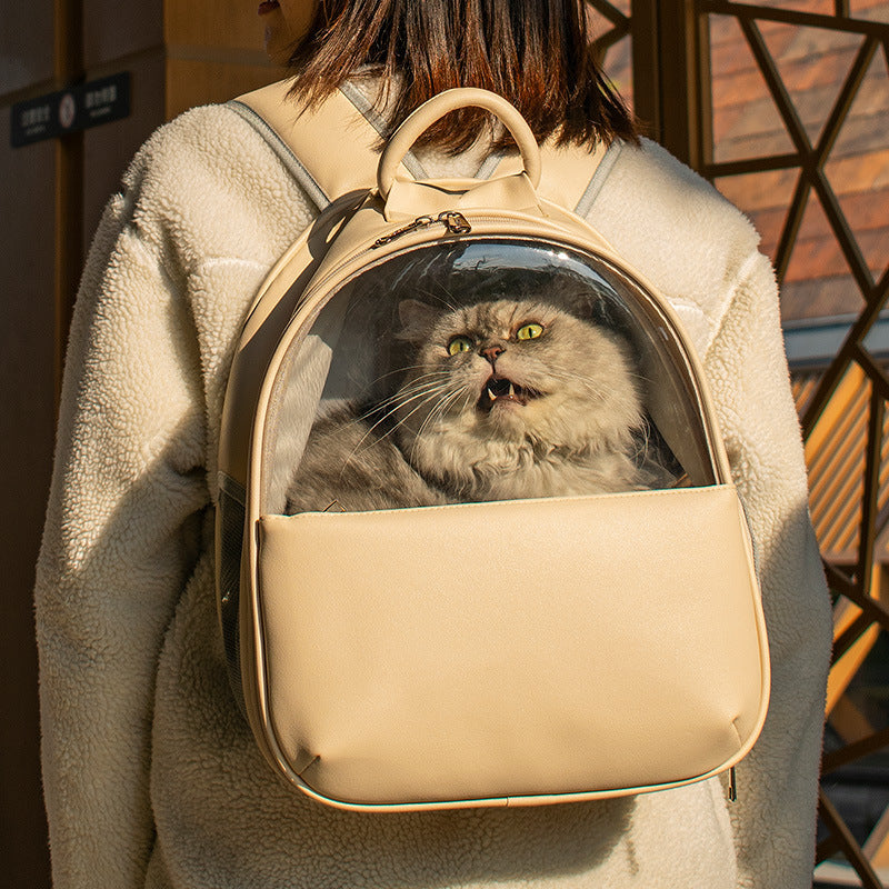 Transparent Backpack for Cats and Dogs – Perfect for Outings