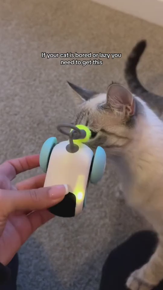 Remote Control Interactive Cat Car Toy - USB Charging, Self-Moving Smart Toy