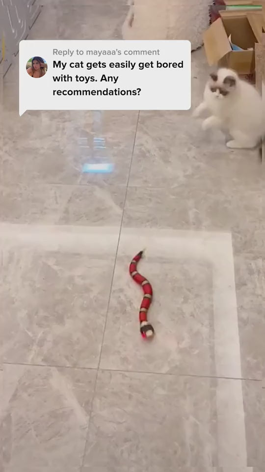 Fun-Filled Induction Snake Toy | Remote control snake toy